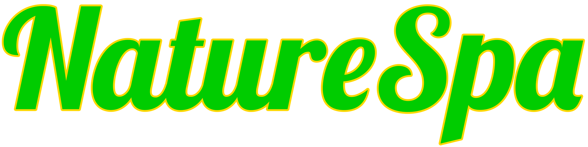 NatureSpa Logo